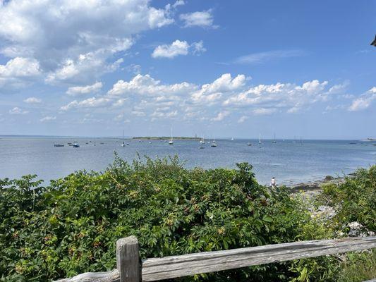 Lunch with a view