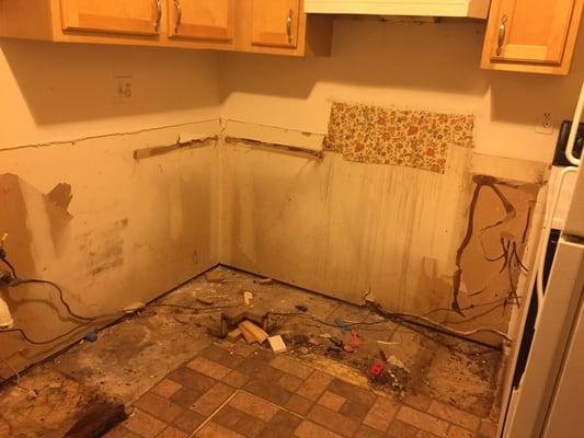 Kitchen and more mold  #TWCMANAGEMENT