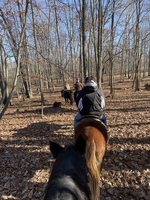 Coldwater Lake Stable