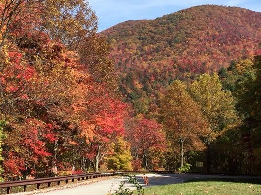 My favorite stop along the skyway: Turkey Creek. Just gorgeous!