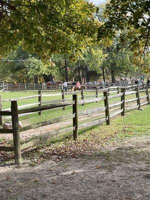 Montar a caballo