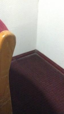 12/31/11 carpet in the room. When was the last time it was vacuumed?  Have fun guessing!