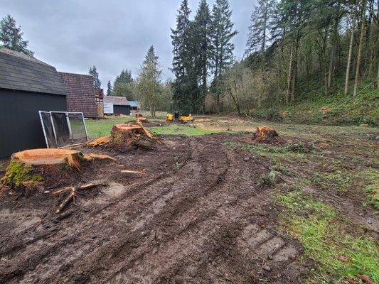 Before picture on a stump removal project.