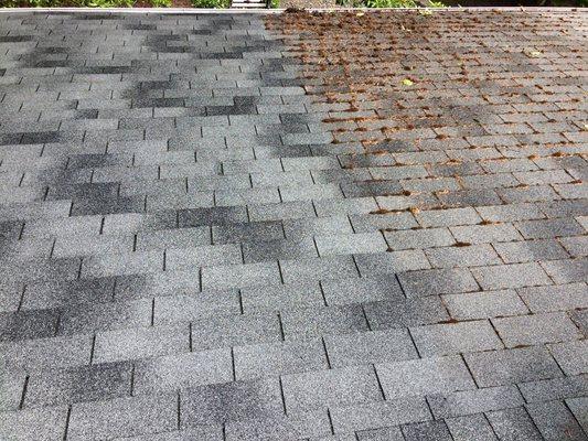 Don't let moss ruin your roof! Let us help you by getting your roof back to looking the way it should...brand new.