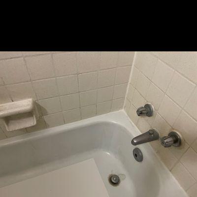 Our spotless moldy bathtub ‍