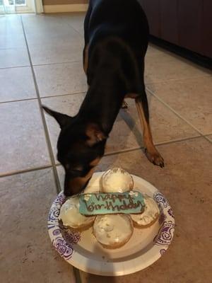 His cupcakes I baked with the ingredients I bought there, and his cookie!