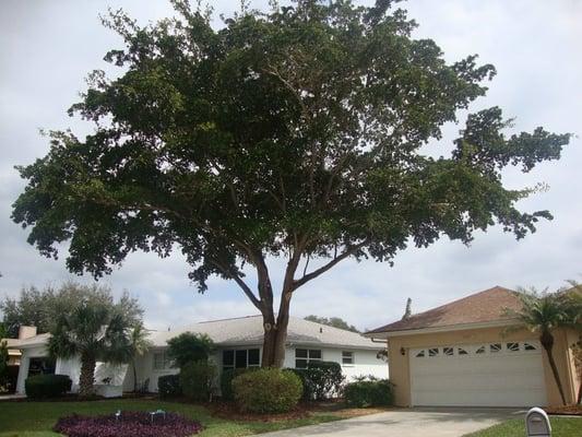 Oak Trim Job In West Bradenton