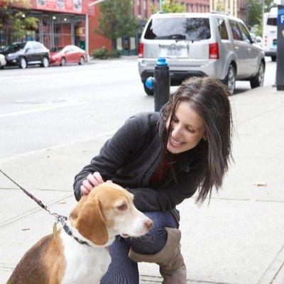 Roscoe the Bed Bug Dog and Our Canine Teams Sniff & Detect Hidden Bed Bugs