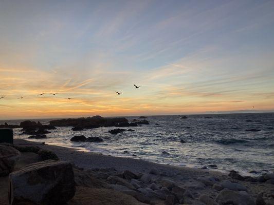 Late night walk along the coast