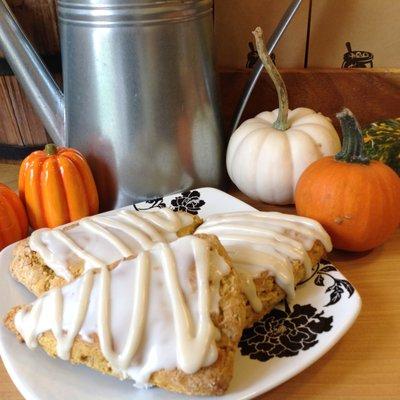 Maple Pumpkin scones