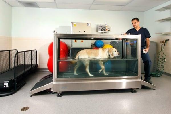 Underwater treadmill for hydrotherapy