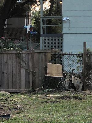 After...cut a little chair out of the tree stump