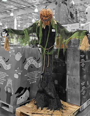 Halloween 2024's pumpkin scarecrow