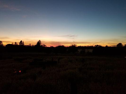 Corn maze at night