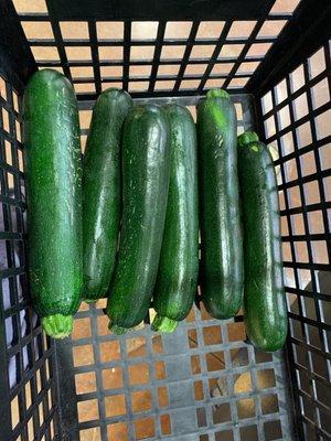 Zucchini on sale $.69lb