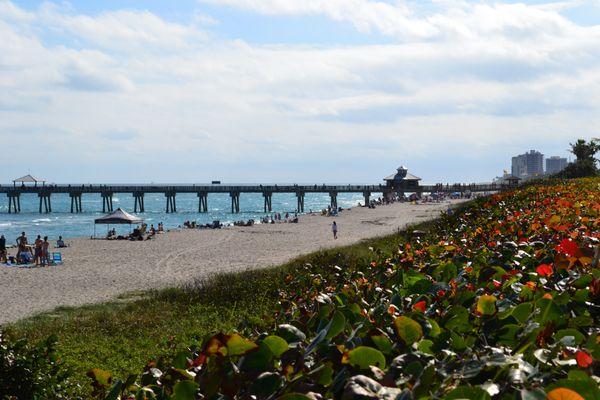 The Juno pier is our neighbor