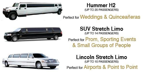 friscolimousine.com