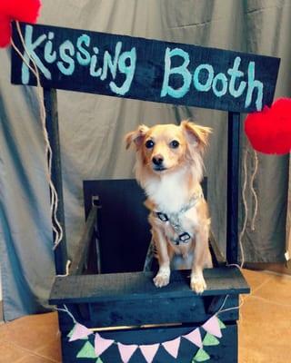 Kissing booth fundraiser held at IAH to raise money for Bark For Life Glynn Co.