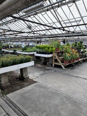 Interior of greenhouse