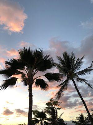 A view from Lanai!