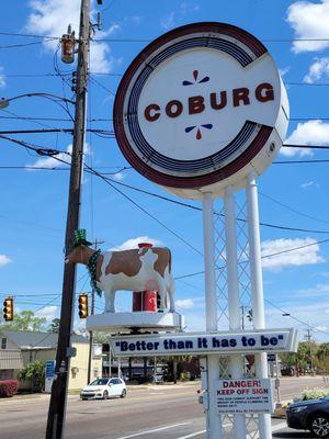 Coburg Cow