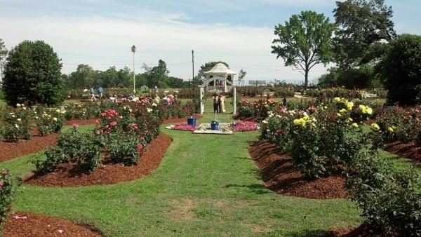 Tour the garden to see all the varieties