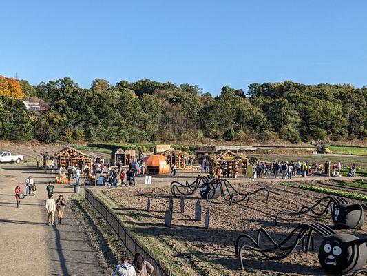 Wilson Farm 10/2024 (pumpkin village)