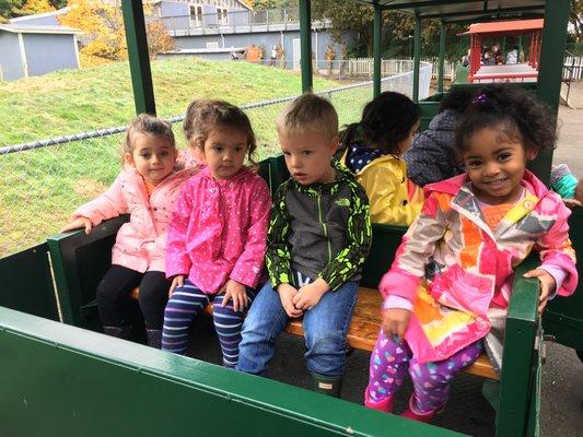 Train Ride and Pumpkin patch