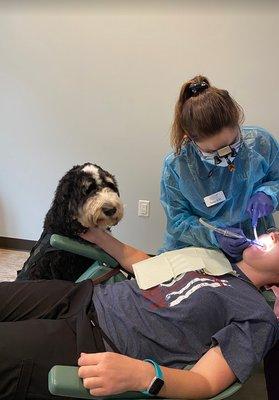 Do you have dental anxiety? Our therapy dog can help calm you during your treatment!