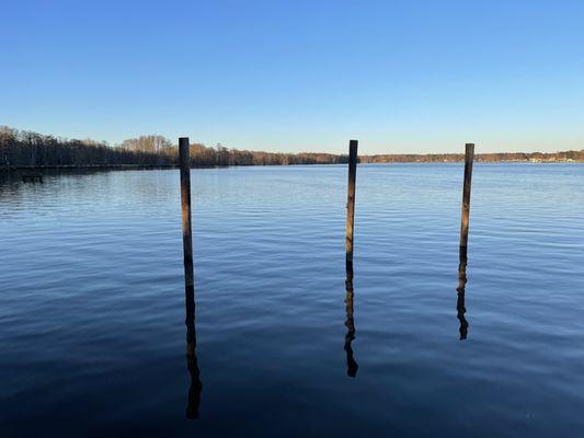 View from side of Blue Heron