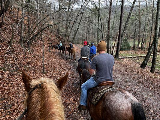 Trackrock Stables