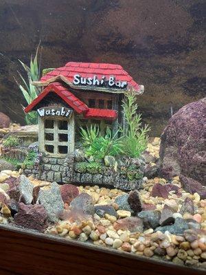 The sushi bar