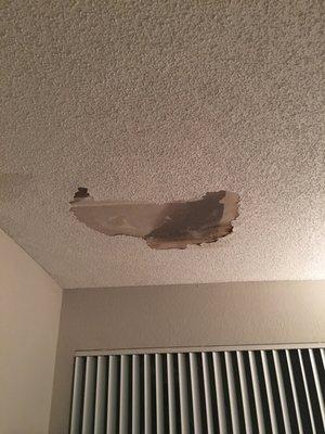 Water Damaged ceiling before it fell onto my furniture