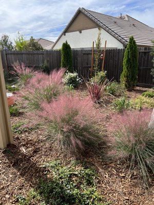 View from patio in mid-October