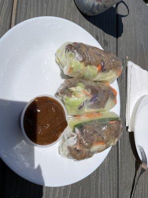 Grilled beef spring rolls