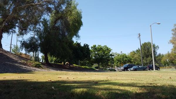 Park, nice shade