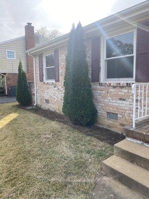 Created this flower bed and planted some shrubs for a client