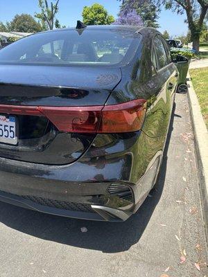 Bumper back in place and good to go!