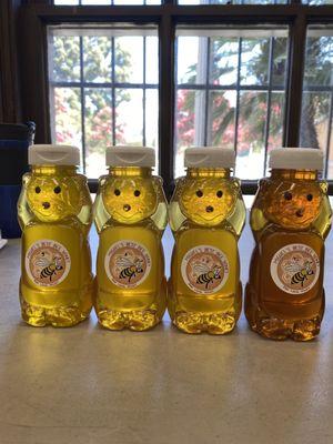 Squeeze honey bears available