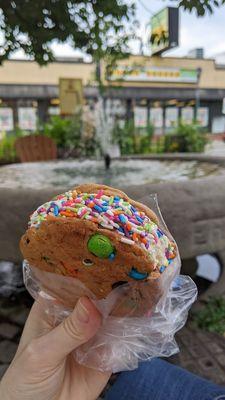 homemade ice cream cookie sandwich!