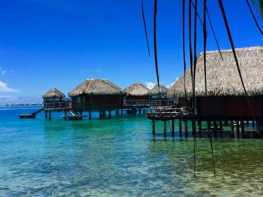 Over-water bungalows