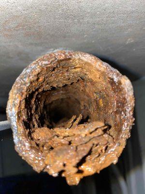 Buildup in drain pipe