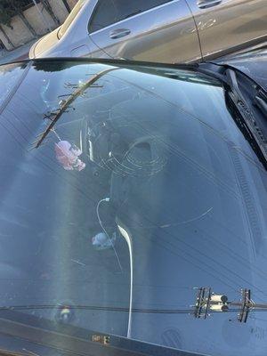 broken windshield