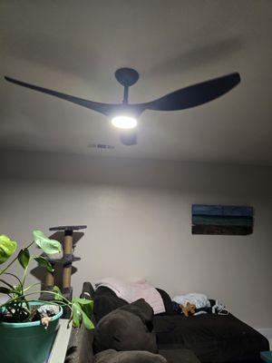 Installed ceiling fans.