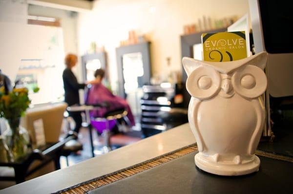 Evolve Organic Salon