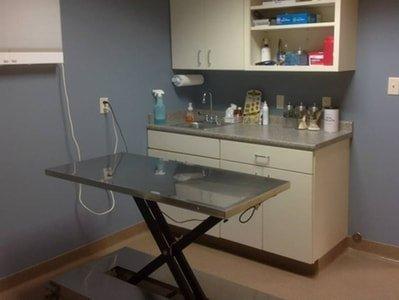 Small animal exam room