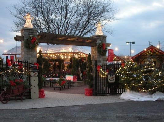 Chestnut Hill Nursery