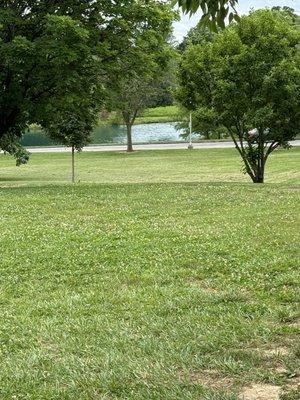 Lake and walking trails