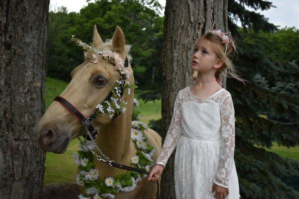 We offer Unicorn Photo Shoots in the summer time