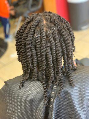 Two Strand Twists